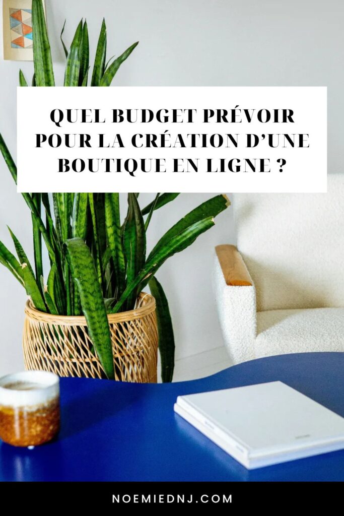 Quel budget prévoir pour la création d’une boutique en ligne ?